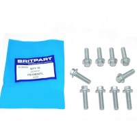 FS108307L -  фланцевий болт M6 × 30 кріплення кришки клапанів для Land Rover Defender та Discovery-2 з двигуном Td5.(ціна за 1шт)