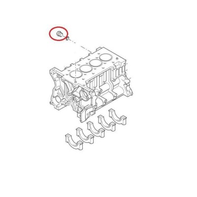 LR006040 - Зливна пробка для блоку циліндрів на Land Rover Defender - Підходить до двигунів Puma 2.4 і 2.2 - Оригінальний Land Rover